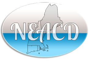 An Affiliate of the American Academy of Cosmetic Dentistry (AACD)